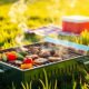 portable grilling solutions available