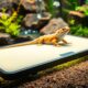 reptile heating pads guide