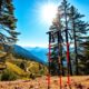 top hiking poles 2025