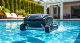 affordable pool cleaner options