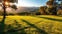 selecting lot orientation and views