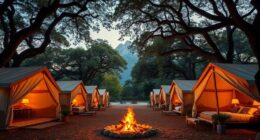 luxury camping tent options