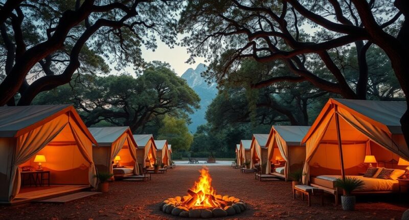 luxury camping tent options