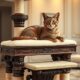 luxury cat scratching posts