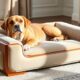 luxury comfort style dog beds