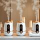 luxury facial steamer options