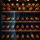 premium wine storage solutions