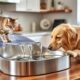 top automatic pet water fountains