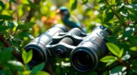 top high end bird watching binoculars