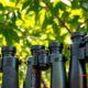 top luxury hunting binoculars