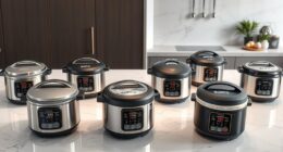 top luxury rice cookers 2025