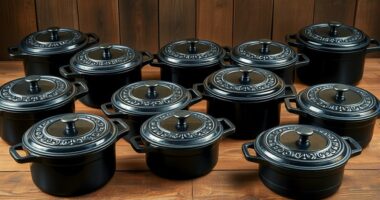 top premium cast iron ovens