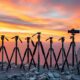 top travel tripods 2025
