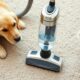 portable pet carpet cleaning