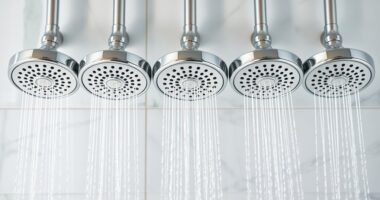 top 5 purifying shower heads