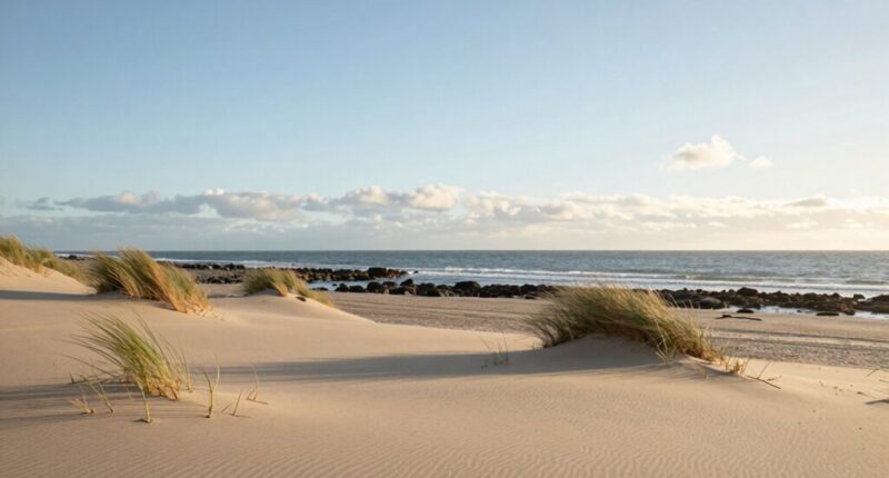 contemporary coastal style elegance