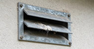 laundry vent fire hazard