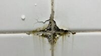 neglecting shower waterproofing steps