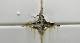 neglecting shower waterproofing steps