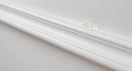 professional touch precise finish