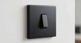 visible switch plate upgrade