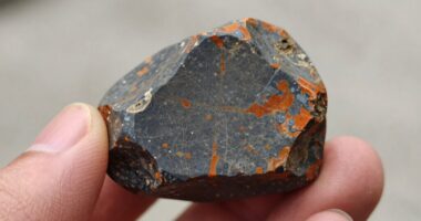 authentic stone sample inspection