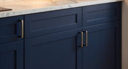 kitchen cabinet color upgrade