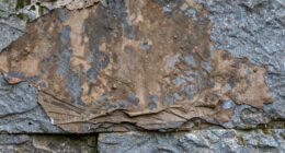 paints blending with stones