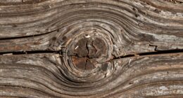 perceived surface texture details