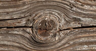 perceived surface texture details