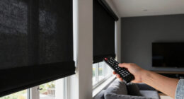 10 Best Blackout Shades for Media Rooms in 2026