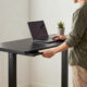 10 Best Electric Standing Desks for Dual-Purpose Offices in 2026