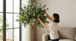 11 Best Faux Olive Trees for Interior Corners in 2026