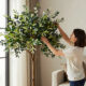 11 Best Faux Olive Trees for Interior Corners in 2026