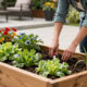11 Best Raised Garden Beds for Stylish Outdoor Spaces in 2026
