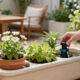11 Best Self Watering Planters for Patios in 2026