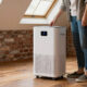 8 Best Dehumidifiers for Finished Basements in 2026