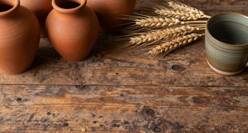 timeless natural color palettes