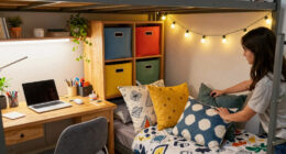 How to Choose Dorm Room Decor And Organization