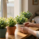 14 Best Artificial Potted Plants For Dorms In 2026