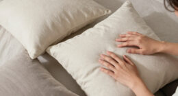 Best Luxury Decorative Throw Pillows Compared